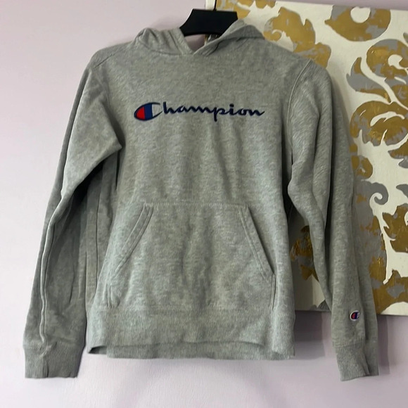 Champion Size XL Soft Gray Hoodie - Picture 1 of 8